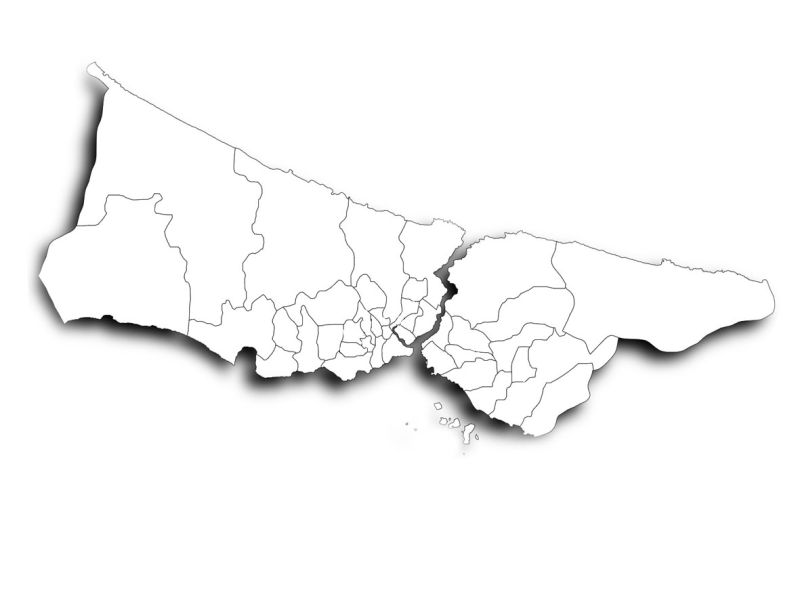 Bölge Çalışmaları ve Denetimler